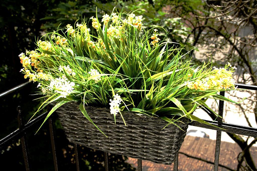 Flowers City Center Apartments Zagreb Chambre photo